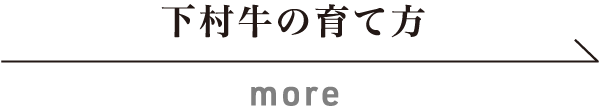 下村牛の育て方