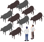 安定供給ができない・数量の確保が難しい